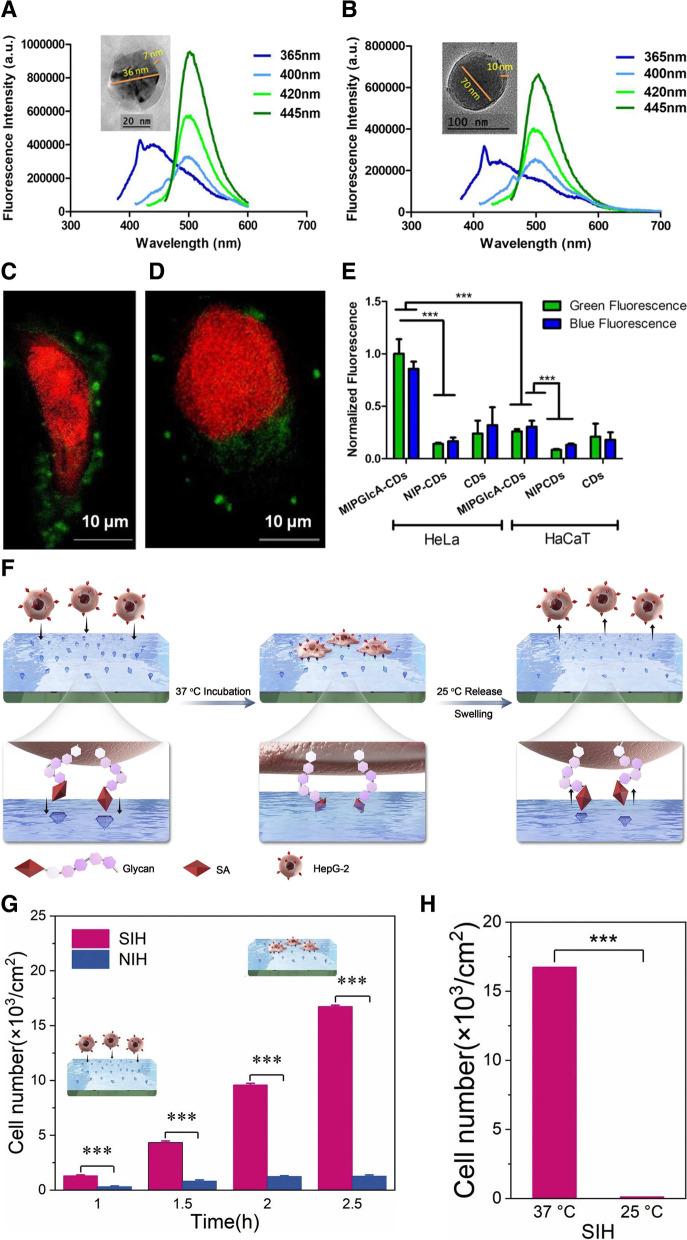 https://cdn.ncbi.nlm.nih.gov/pmc/blobs/63be/10182667/cbd79a6680ce/40824_2023_388_Fig8_HTML.jpg