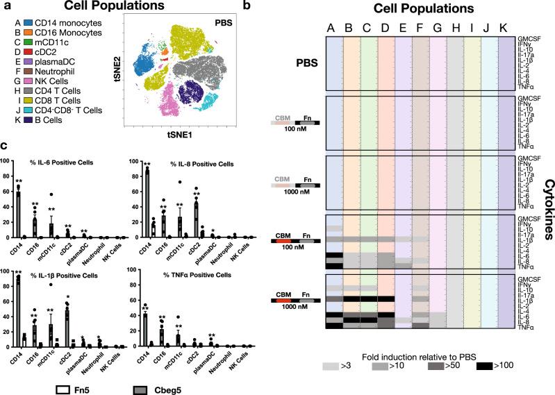 https://cdn.ncbi.nlm.nih.gov/pmc/blobs/63be/9166713/2ad3d4828701/41467_2022_29949_Fig2_HTML.jpg