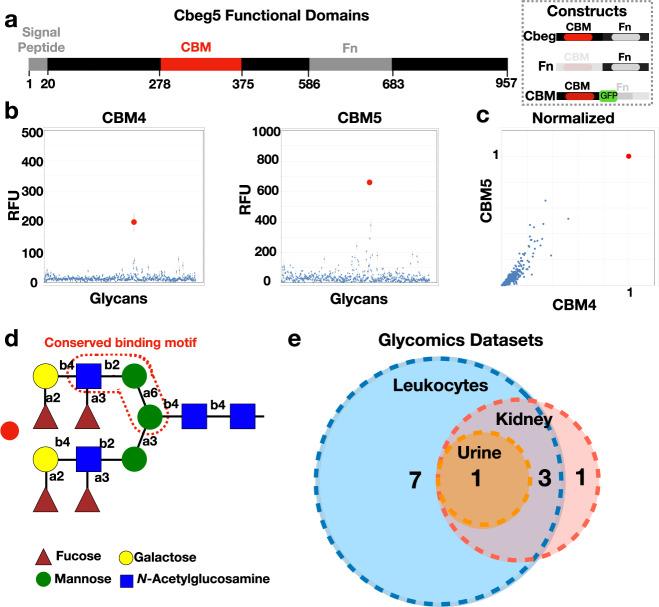 https://cdn.ncbi.nlm.nih.gov/pmc/blobs/63be/9166713/b43f695c2704/41467_2022_29949_Fig1_HTML.jpg