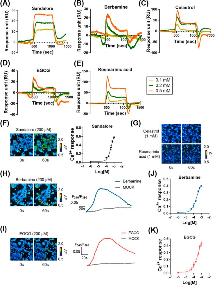 https://cdn.ncbi.nlm.nih.gov/pmc/blobs/63c1/11108860/40c42debe71f/gr2.jpg