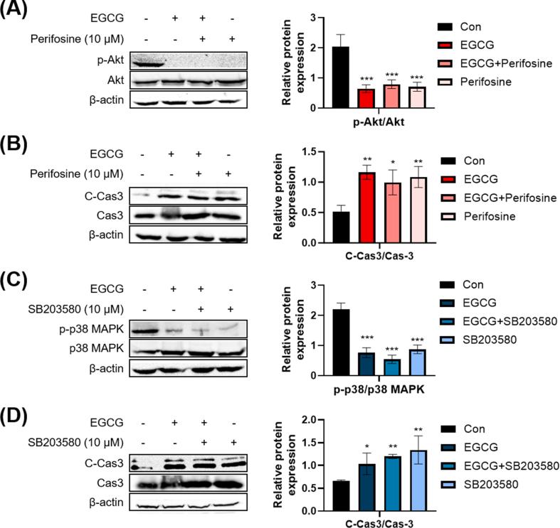 https://cdn.ncbi.nlm.nih.gov/pmc/blobs/63c1/11108860/f2f2c09f6d8c/gr6.jpg