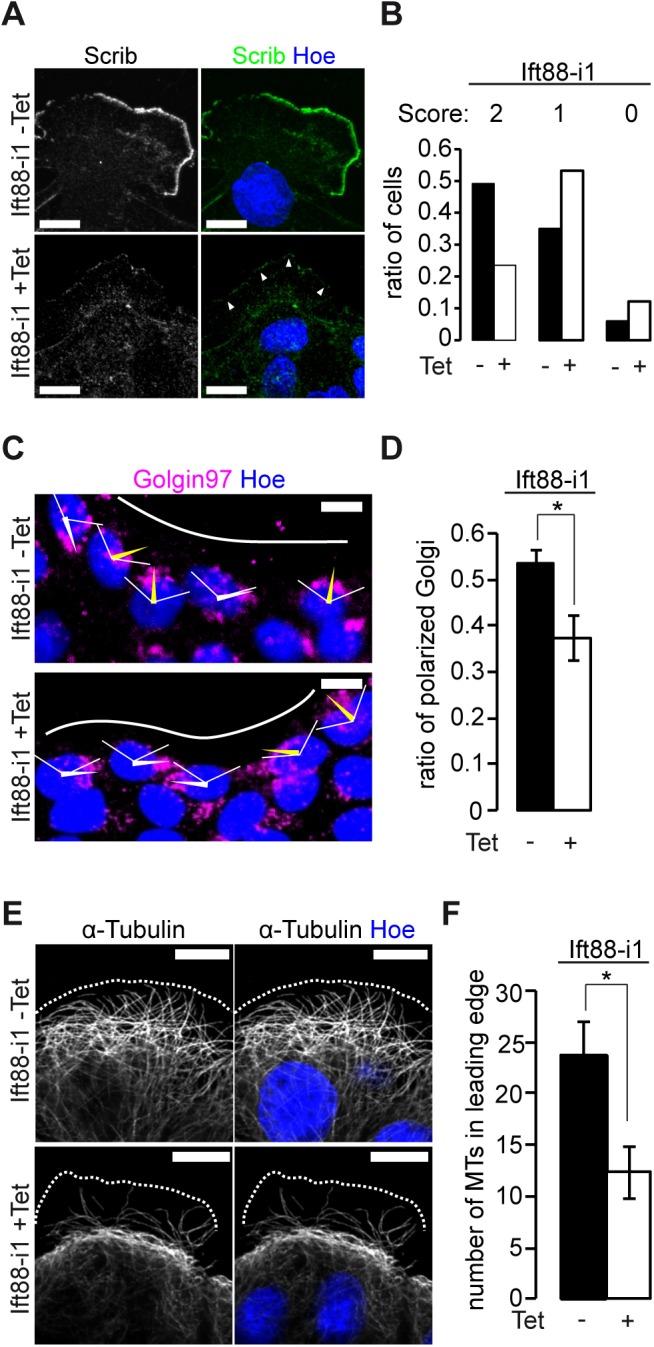 https://cdn.ncbi.nlm.nih.gov/pmc/blobs/63c1/4605505/d76453e43408/pone.0140378.g005.jpg