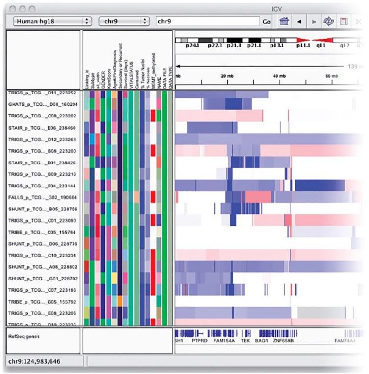https://cdn.ncbi.nlm.nih.gov/pmc/blobs/63c1/6416684/4677b8c82716/10.1177_1176935119835546-fig4.jpg