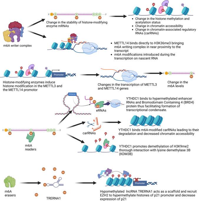 https://cdn.ncbi.nlm.nih.gov/pmc/blobs/63c2/10159966/e7f5782dc39a/395_2023_986_Fig3_HTML.jpg