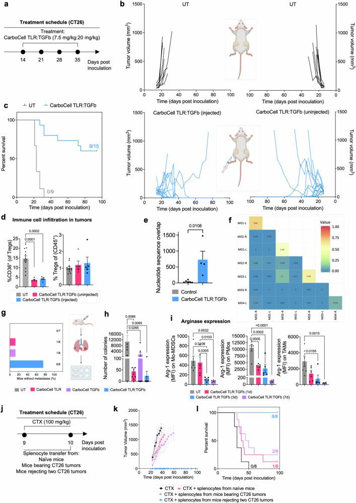 https://cdn.ncbi.nlm.nih.gov/pmc/blobs/63c6/11371921/38c9d399226e/41467_2024_50967_Fig4_HTML.jpg