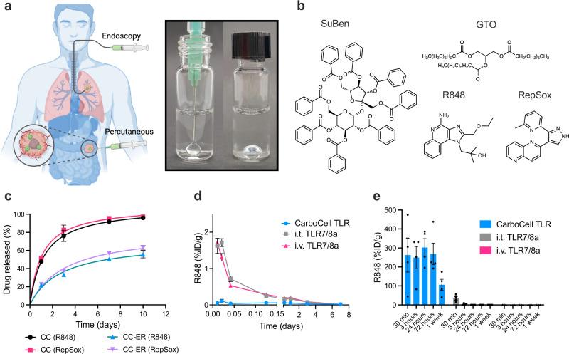 https://cdn.ncbi.nlm.nih.gov/pmc/blobs/63c6/11371921/4a81d12514dd/41467_2024_50967_Fig1_HTML.jpg