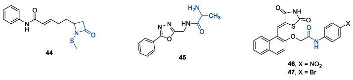 https://cdn.ncbi.nlm.nih.gov/pmc/blobs/63c6/9456347/290c378813de/ijms-23-10014-g008.jpg