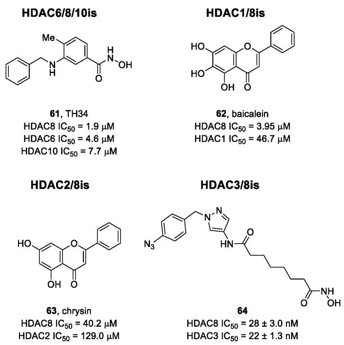https://cdn.ncbi.nlm.nih.gov/pmc/blobs/63c6/9456347/38300c03f8c6/ijms-23-10014-g011.jpg