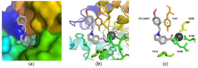 https://cdn.ncbi.nlm.nih.gov/pmc/blobs/63c6/9456347/4ba13e141c8c/ijms-23-10014-g005.jpg