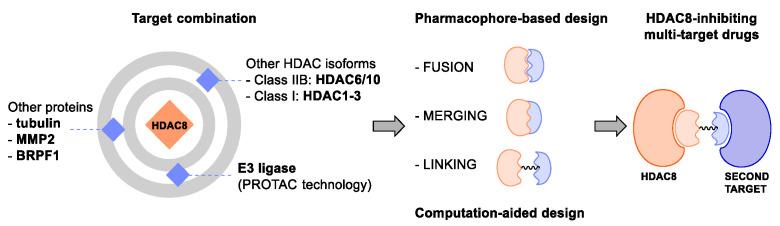 https://cdn.ncbi.nlm.nih.gov/pmc/blobs/63c6/9456347/537f97ea8a2e/ijms-23-10014-g009.jpg
