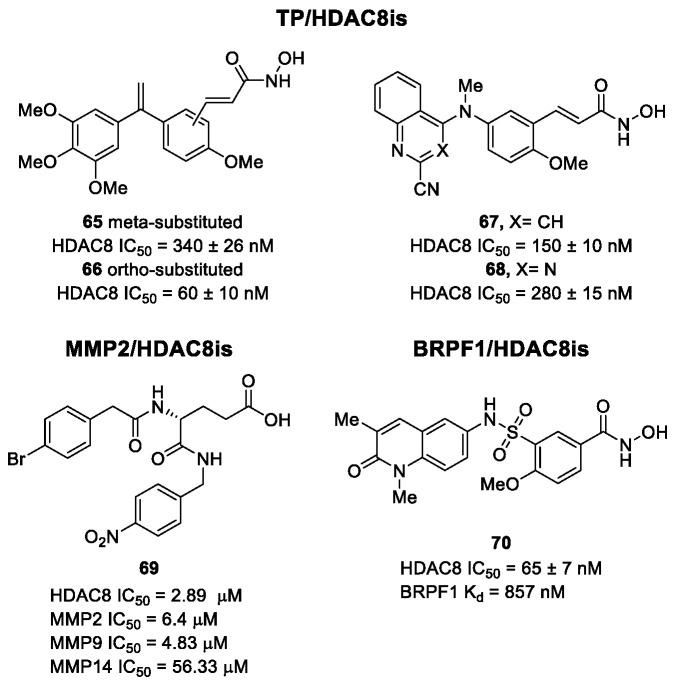 https://cdn.ncbi.nlm.nih.gov/pmc/blobs/63c6/9456347/791a639f4b94/ijms-23-10014-g012.jpg