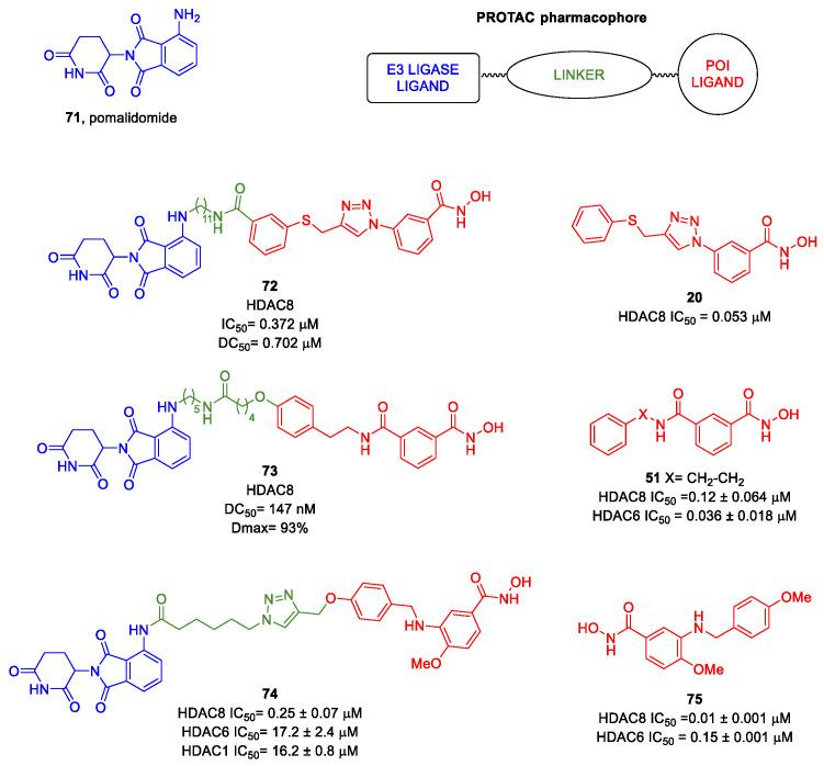 https://cdn.ncbi.nlm.nih.gov/pmc/blobs/63c6/9456347/a9a3a8b58381/ijms-23-10014-g013.jpg