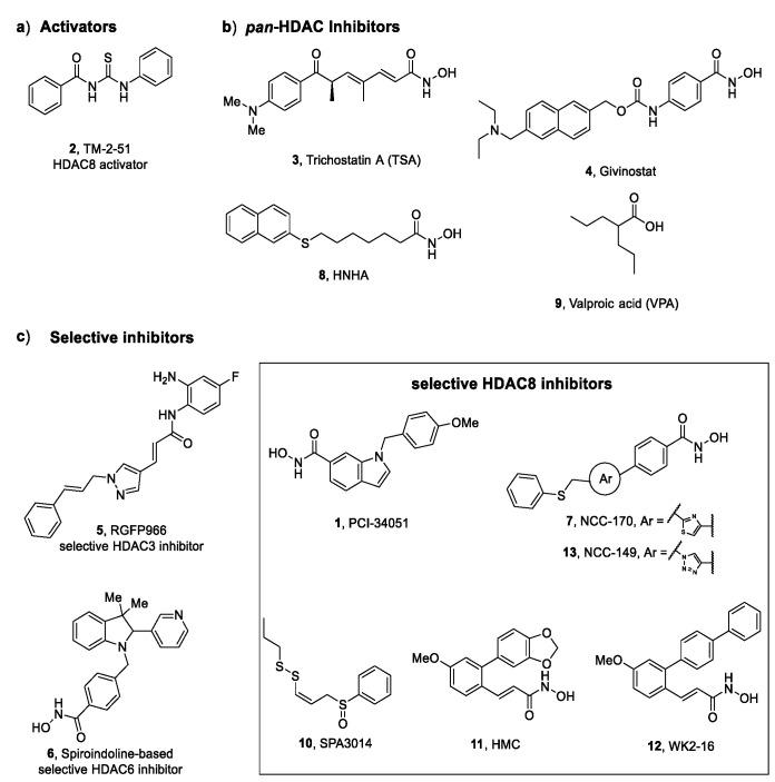 https://cdn.ncbi.nlm.nih.gov/pmc/blobs/63c6/9456347/adcbd86e2894/ijms-23-10014-g003.jpg