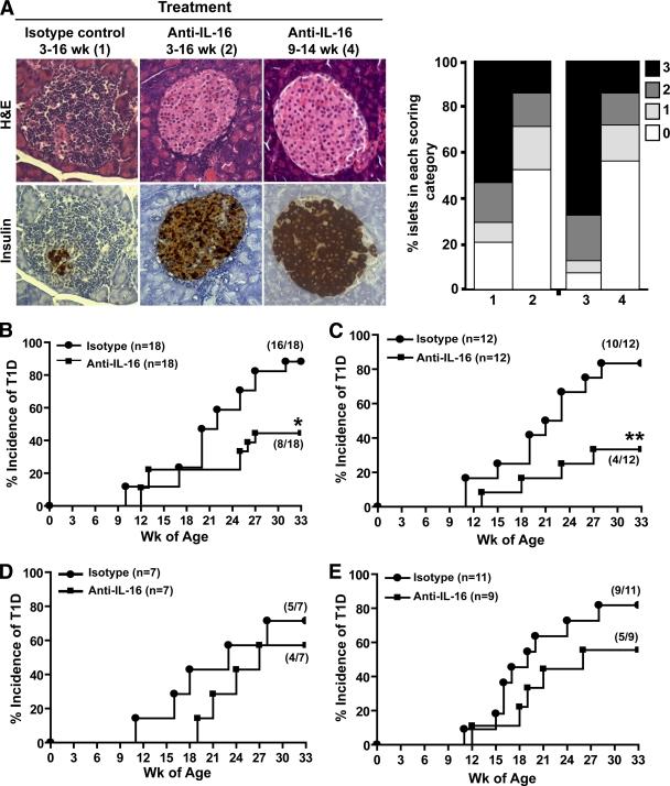 https://cdn.ncbi.nlm.nih.gov/pmc/blobs/63c7/2963545/9e750fd8216a/zdb0111063250003.jpg