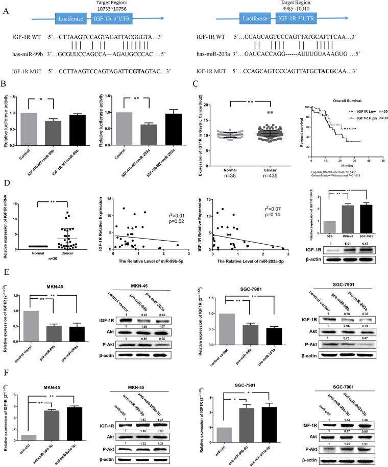 https://cdn.ncbi.nlm.nih.gov/pmc/blobs/63ca/6031697/8ee01295564c/41598_2018_27583_Fig4_HTML.jpg