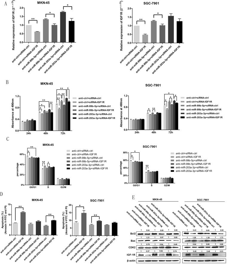 https://cdn.ncbi.nlm.nih.gov/pmc/blobs/63ca/6031697/a46738fe5434/41598_2018_27583_Fig6_HTML.jpg