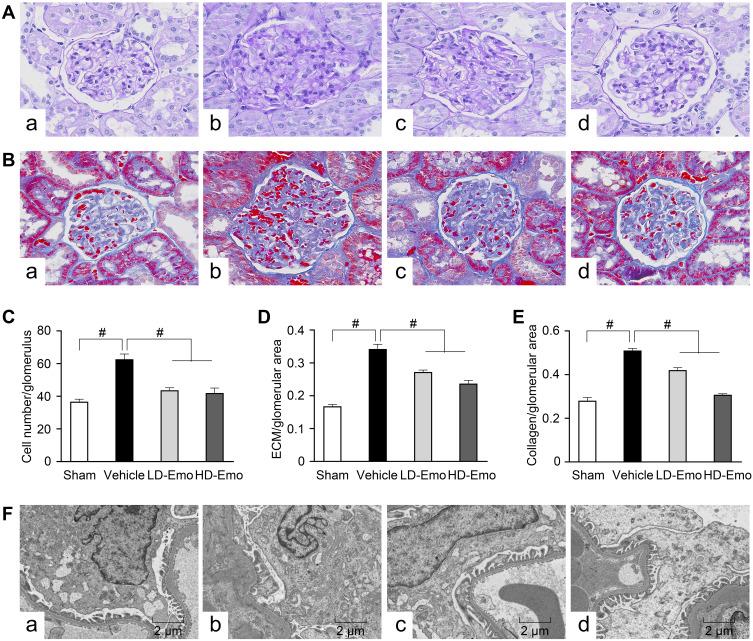 https://cdn.ncbi.nlm.nih.gov/pmc/blobs/63ca/7987270/ac0497f81473/DMSO-14-1253-g0004.jpg