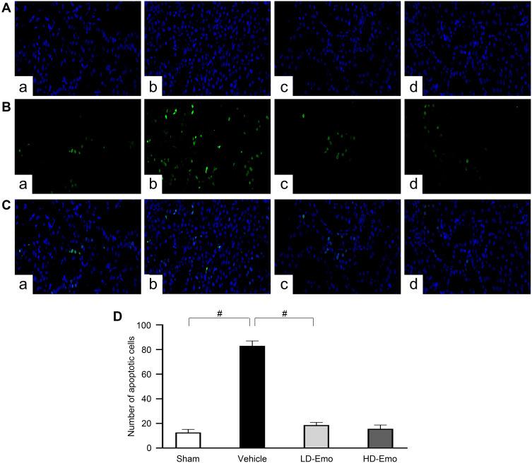 https://cdn.ncbi.nlm.nih.gov/pmc/blobs/63ca/7987270/d268db0abb2a/DMSO-14-1253-g0005.jpg