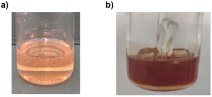 https://cdn.ncbi.nlm.nih.gov/pmc/blobs/63cb/10280132/f165cc8f99b2/d3ra03370h-f3.jpg
