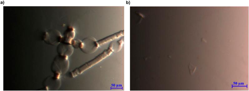 https://cdn.ncbi.nlm.nih.gov/pmc/blobs/63cb/10280132/f24cee43eedc/d3ra03370h-f7.jpg