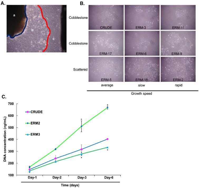 https://cdn.ncbi.nlm.nih.gov/pmc/blobs/63cc/8748770/74a5c8efa0dc/41598_2021_4091_Fig1_HTML.jpg