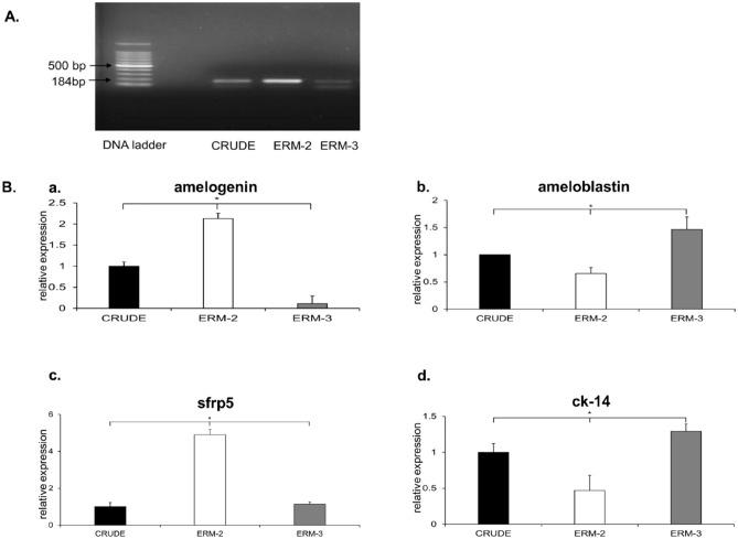 https://cdn.ncbi.nlm.nih.gov/pmc/blobs/63cc/8748770/d26ecee01903/41598_2021_4091_Fig3_HTML.jpg