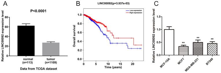 https://cdn.ncbi.nlm.nih.gov/pmc/blobs/63cd/8958677/494047edfda7/10.1177_09636897221086967-fig1.jpg