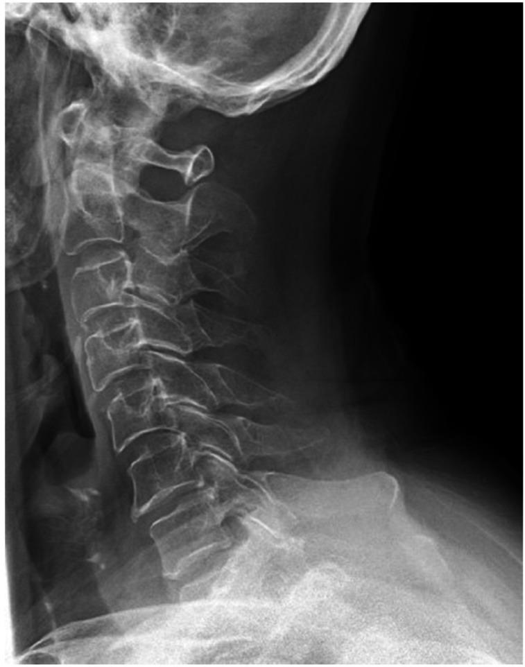 https://cdn.ncbi.nlm.nih.gov/pmc/blobs/63cf/12255677/83cdca4e0ba7/41598_2025_11285_Fig4_HTML.jpg