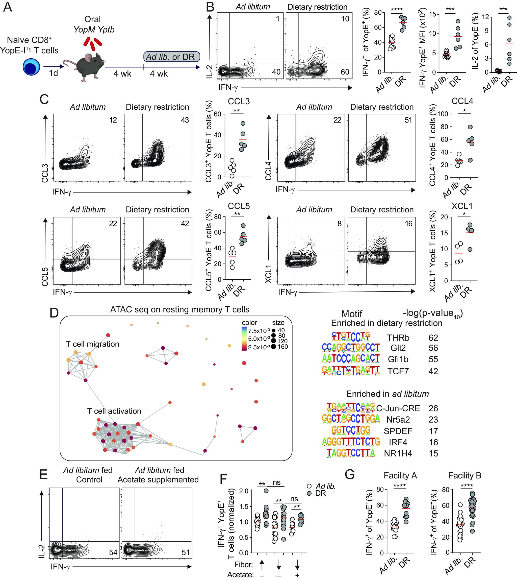 https://cdn.ncbi.nlm.nih.gov/pmc/blobs/63d0/10710091/08cc589a6341/pnas.2304905120fig03.jpg