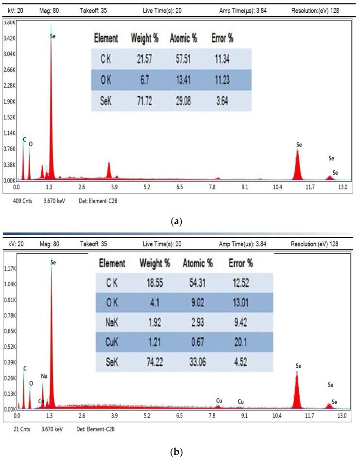 https://cdn.ncbi.nlm.nih.gov/pmc/blobs/63d0/11281124/2fccd72d3a12/polymers-16-02065-g010.jpg
