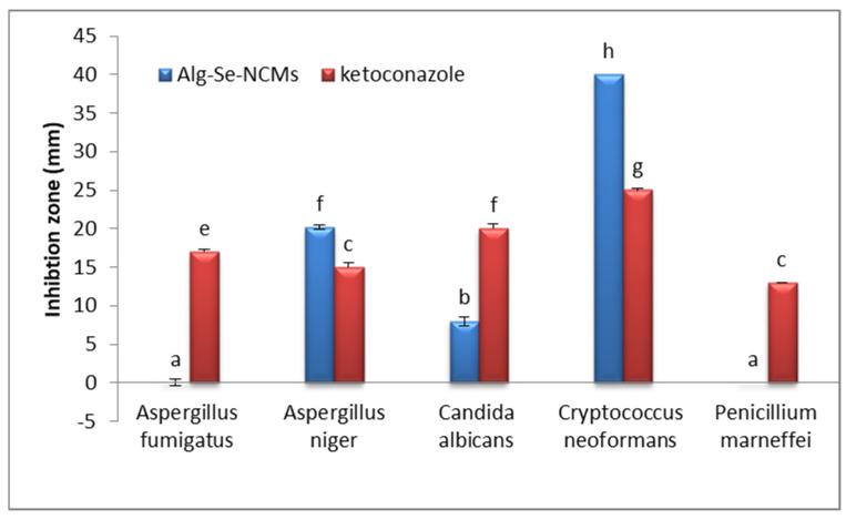 https://cdn.ncbi.nlm.nih.gov/pmc/blobs/63d0/11281124/a1444e1445b6/polymers-16-02065-g011.jpg