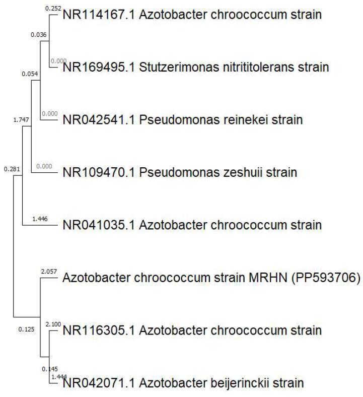 https://cdn.ncbi.nlm.nih.gov/pmc/blobs/63d0/11281124/a9fdd86e14cb/polymers-16-02065-g001.jpg