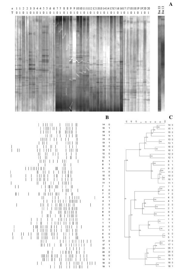 https://cdn.ncbi.nlm.nih.gov/pmc/blobs/63d3/2806344/b63faa4fc617/1471-2180-10-4-1.jpg