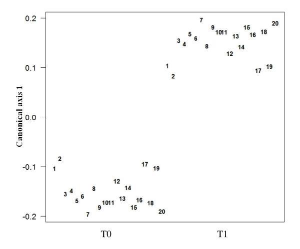 https://cdn.ncbi.nlm.nih.gov/pmc/blobs/63d3/2806344/cf6571e6e4e5/1471-2180-10-4-5.jpg