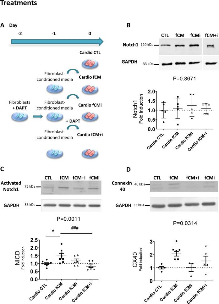 https://cdn.ncbi.nlm.nih.gov/pmc/blobs/63d3/7527973/7b41d82c65d8/41598_2020_73159_Fig7_HTML.jpg
