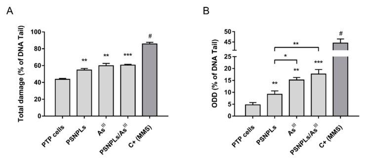 https://cdn.ncbi.nlm.nih.gov/pmc/blobs/63d4/8955425/8da6bc84ff3c/ijms-23-02958-g004.jpg