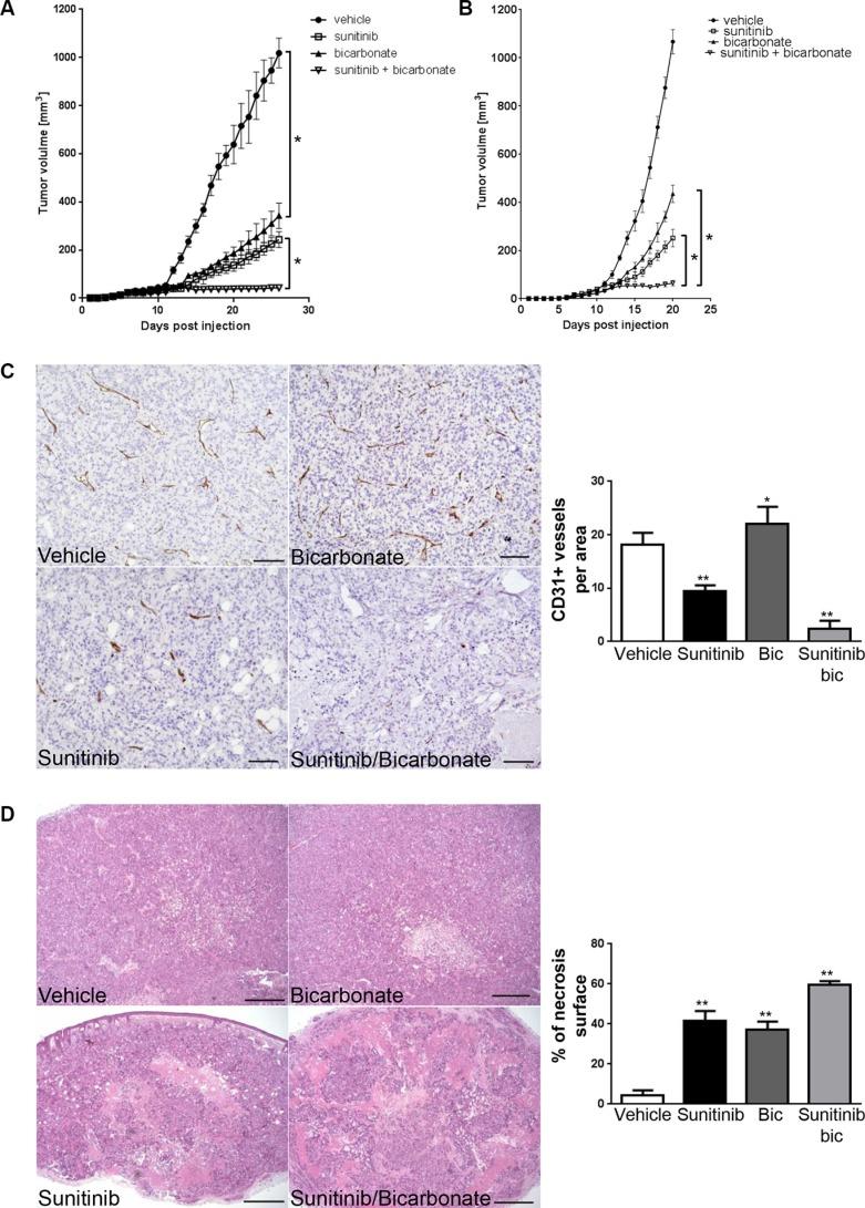 https://cdn.ncbi.nlm.nih.gov/pmc/blobs/63d5/5349894/0f0dfb36b658/oncotarget-07-86026-g006.jpg