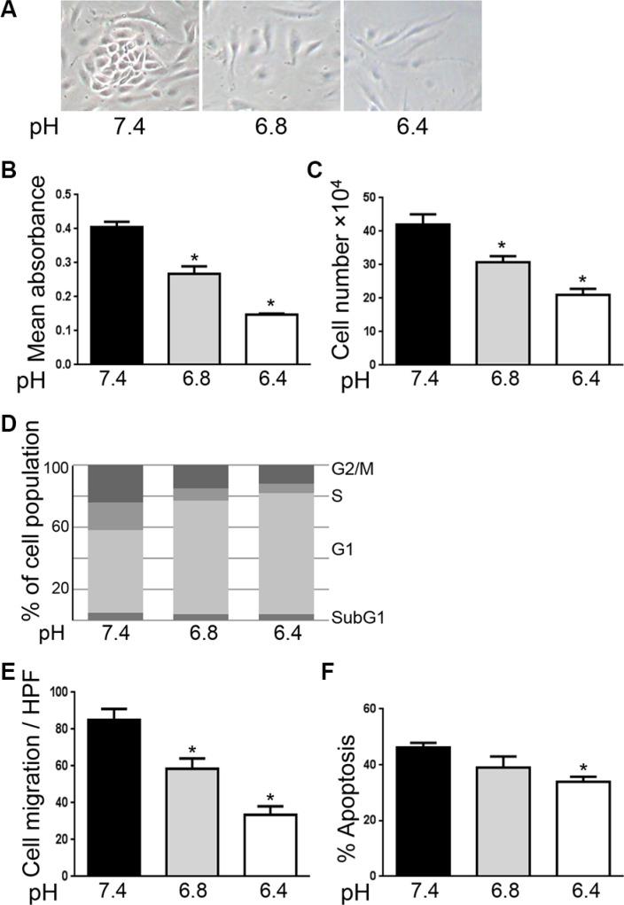 https://cdn.ncbi.nlm.nih.gov/pmc/blobs/63d5/5349894/42685cbc957c/oncotarget-07-86026-g001.jpg
