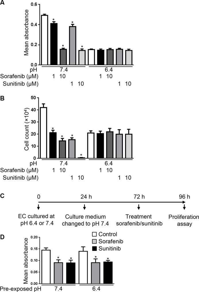 https://cdn.ncbi.nlm.nih.gov/pmc/blobs/63d5/5349894/c50e383d2786/oncotarget-07-86026-g004.jpg