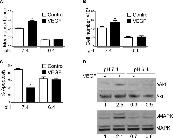https://cdn.ncbi.nlm.nih.gov/pmc/blobs/63d5/5349894/d7b005a4df41/oncotarget-07-86026-g002.jpg