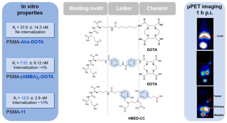 https://cdn.ncbi.nlm.nih.gov/pmc/blobs/63d5/8401928/5df3ea9b6fd6/pharmaceuticals-14-00713-g001.jpg
