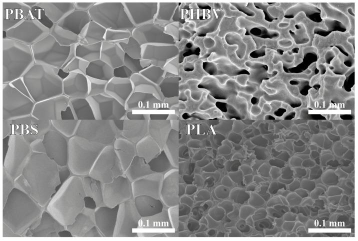 https://cdn.ncbi.nlm.nih.gov/pmc/blobs/63d7/11054705/b4b312462542/polymers-16-01147-g008.jpg