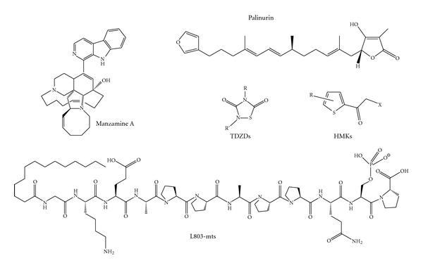 https://cdn.ncbi.nlm.nih.gov/pmc/blobs/63d7/3132520/f2fda65bc0d4/IJAD2011-280502.001.jpg