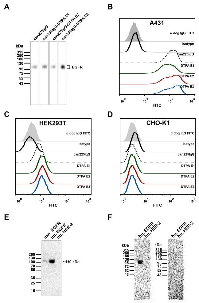 https://cdn.ncbi.nlm.nih.gov/pmc/blobs/63d7/5669955/006dc5b3440c/oncotarget-08-83128-g002.jpg
