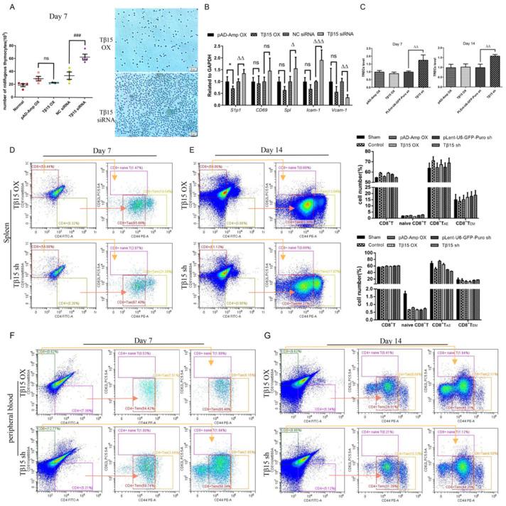 https://cdn.ncbi.nlm.nih.gov/pmc/blobs/63d7/9688846/506542028799/cells-11-03679-g004.jpg