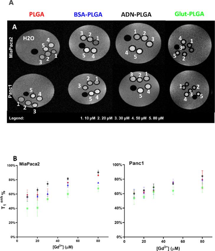 https://cdn.ncbi.nlm.nih.gov/pmc/blobs/63d8/12183577/a732c03c5ff7/ng5c00010_0006.jpg