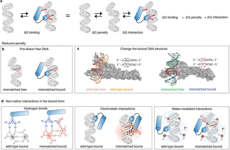 https://cdn.ncbi.nlm.nih.gov/pmc/blobs/63d9/7666076/28e6cd306d1f/nihms-1630484-f0011.jpg