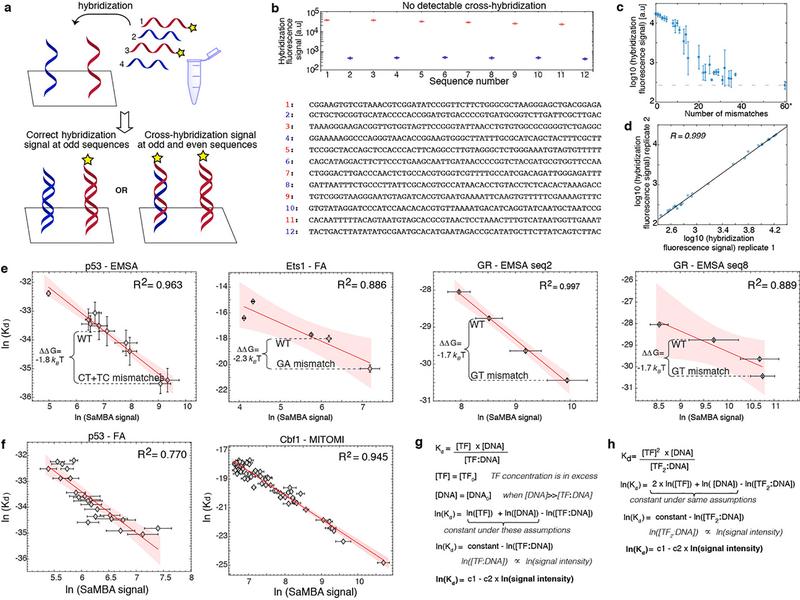 https://cdn.ncbi.nlm.nih.gov/pmc/blobs/63d9/7666076/92602464d7e7/nihms-1630484-f0006.jpg