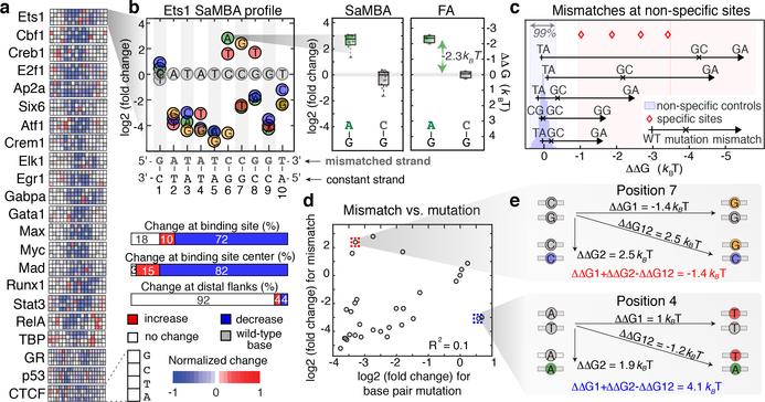 https://cdn.ncbi.nlm.nih.gov/pmc/blobs/63d9/7666076/efeb54829562/nihms-1630484-f0002.jpg