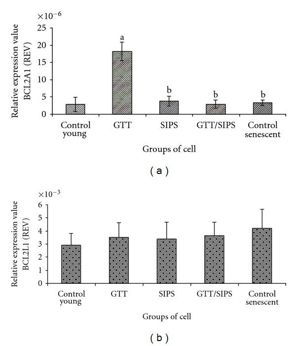 https://cdn.ncbi.nlm.nih.gov/pmc/blobs/63da/3418699/20211c4b0dc4/OXIMED2012-785743.009.jpg